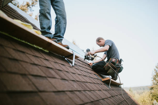 Best Metal Roofing Installation  in University Place, WA